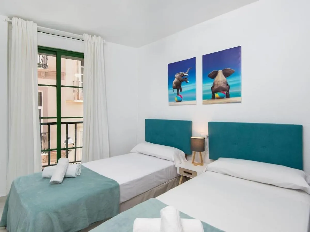 Rosaleda Center Apartment Malaga
